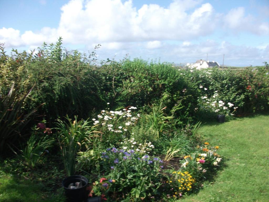 Fuchsia House Bed And Breakfast Connemara Renvyle Ngoại thất bức ảnh